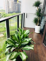 The Crest (D3), Condominium #172031172